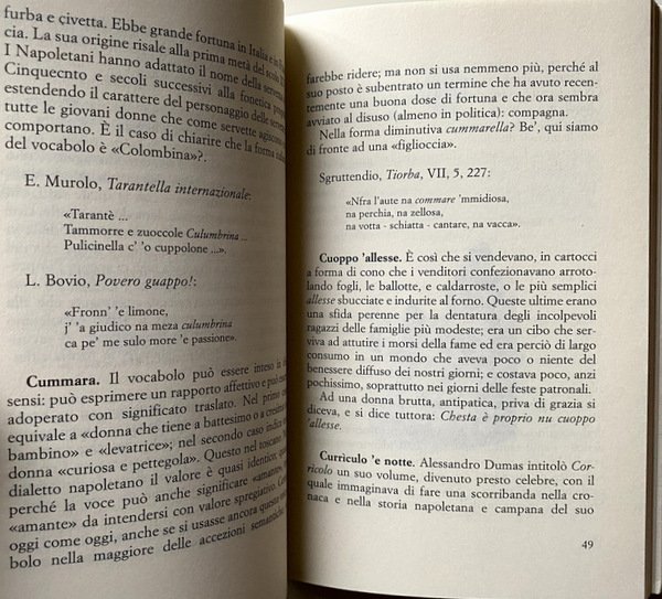 'A MALAFÉMMENA. ZOÈ. A MALACRIANZA 'E LLUOMMENE. DIZIONARIO DEGLI EPITETI …