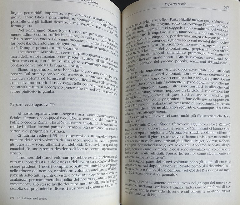 ABBIAMO VINTO L'AUSTRIA-UNGHERIA. LA GRANDE GUERRA DEI LEGIONARI SLAVI SUL … | Immagine Gallery 19