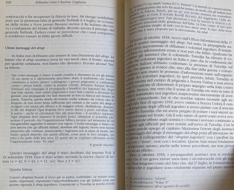 ABBIAMO VINTO L'AUSTRIA-UNGHERIA. LA GRANDE GUERRA DEI LEGIONARI SLAVI SUL … | Immagine Gallery 22