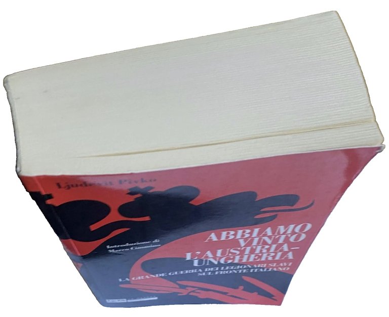 ABBIAMO VINTO L'AUSTRIA-UNGHERIA. LA GRANDE GUERRA DEI LEGIONARI SLAVI SUL … | Immagine Gallery 3