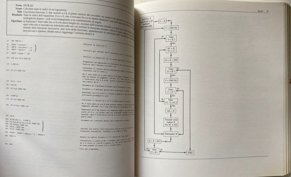 ANALISI MATEMATICA E CALCOLATORI. (CON DISCHETTO FLOPPY DISK)