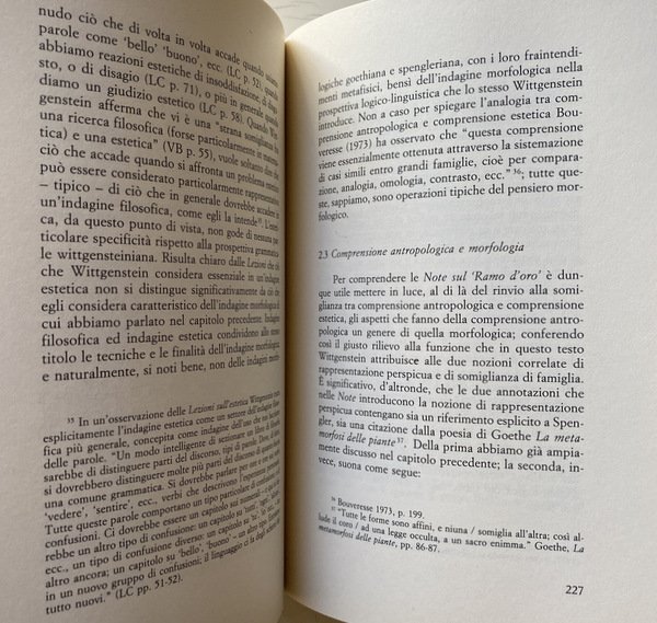 ANTROPOLOGIA E METODO MORFOLOGICO. STUDIO SU WITTGENSTEIN