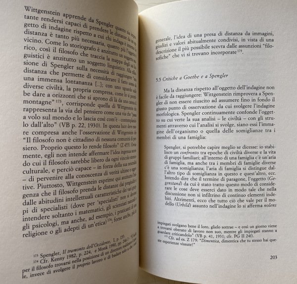 ANTROPOLOGIA E METODO MORFOLOGICO. STUDIO SU WITTGENSTEIN