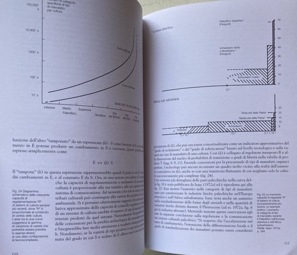 ARCHEOLOGIA ANALITICA
