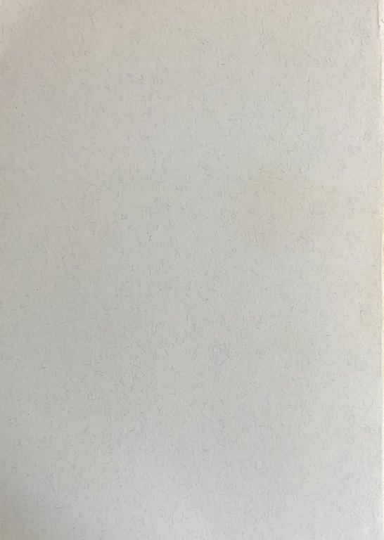 ARCHIVIO STORICO PER LE PROVINCE NAPOLETANE (Volume CXI 111 dell'intera … | Immagine Gallery 5