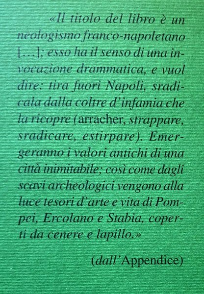 ARRASCIANAPOLI. ROMANZO