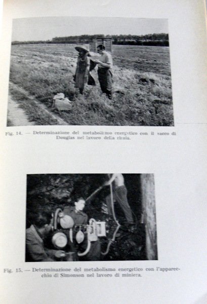 ASPETTI BIOLOGICI DELL'ALIMENTAZIONE DEL LAVORATORE