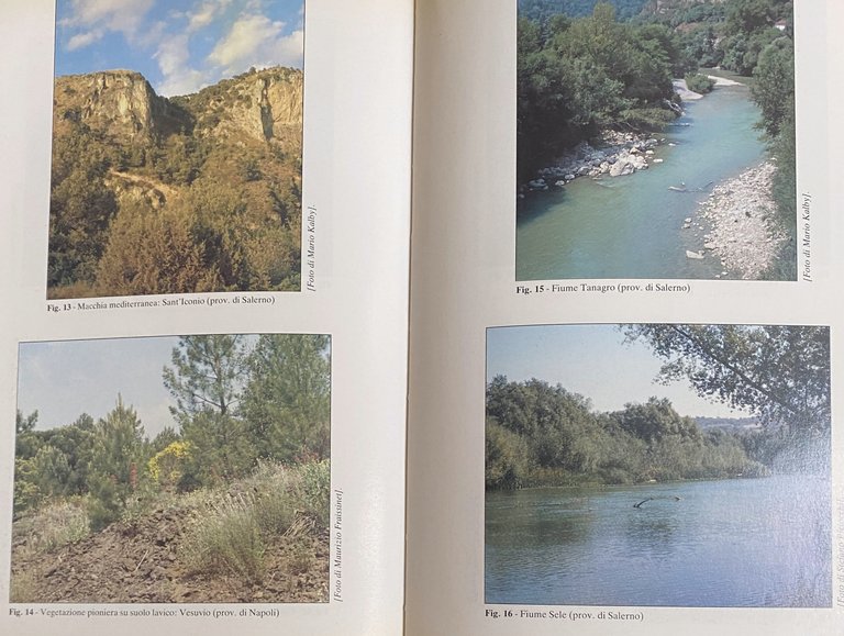 ATLANTE DEGLI UCCELLI NIDIFICANTI IN CAMPANIA (1983-1987)