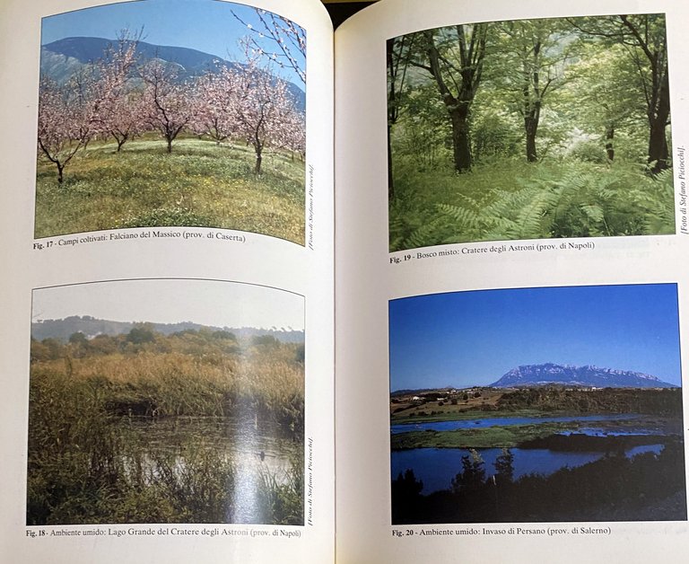 ATLANTE DEGLI UCCELLI NIDIFICANTI IN CAMPANIA (1983-1987)