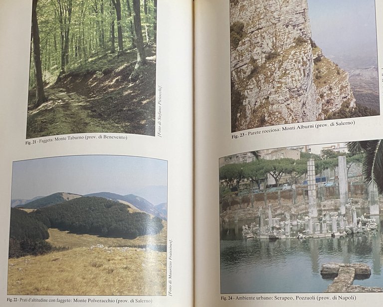 ATLANTE DEGLI UCCELLI NIDIFICANTI IN CAMPANIA (1983-1987)