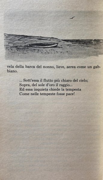 BIANCHEGGIA VELA SOLITARIA. (INTRODUZIONE E TRADUZIONE DI GIOVANNA SPENDEL, ILLUSTRAZIONI/DISEGNI …