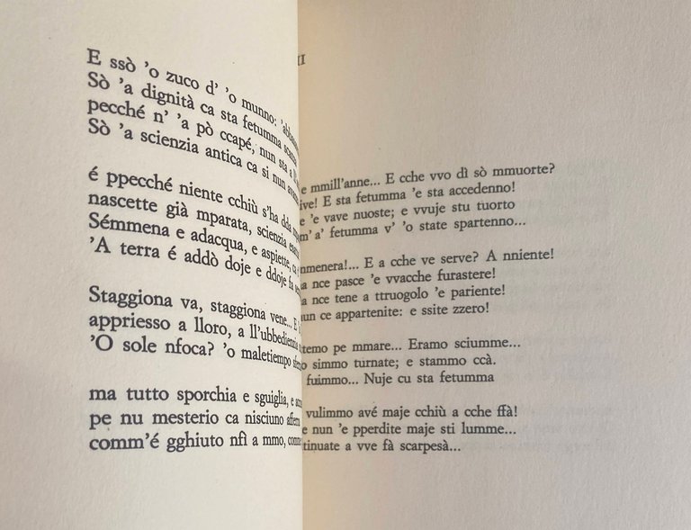 CARE PAISANE | Immagine Gallery 19