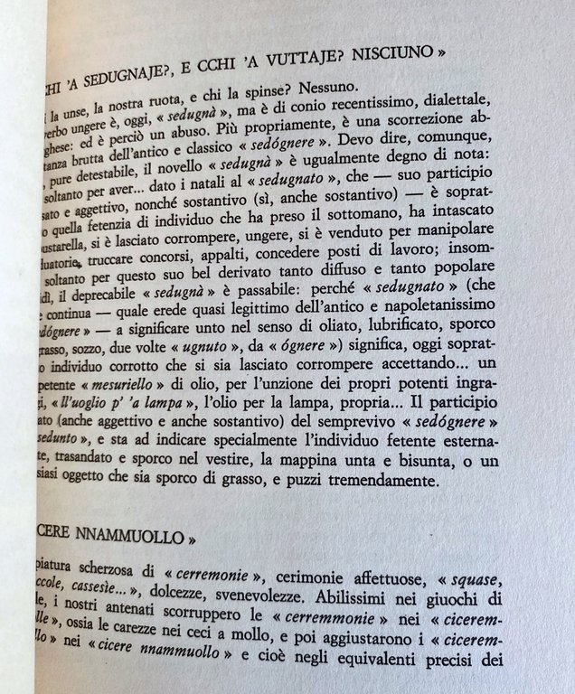 CARE PAISANE | Immagine Gallery 21