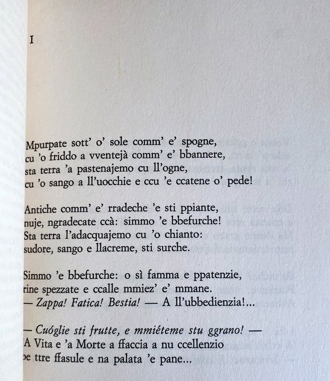 CARE PAISANE | Immagine Gallery 22