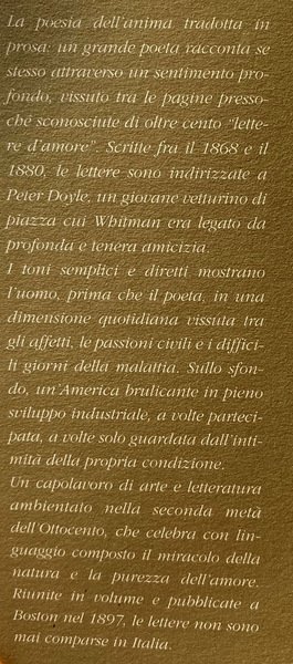 CARO AMATO RAGAZZO. LETTERE D'AMORE A UN GIOVANE VETTURINO (1868-1880)