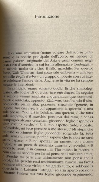 CARO AMATO RAGAZZO. LETTERE D'AMORE A UN GIOVANE VETTURINO (1868-1880)