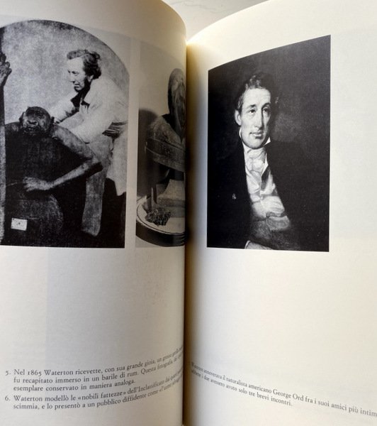CAVALCARE IL COCCODRILLO. VITA DI UN AMBIENTALISTA. CHARLES WATERTON 1782-1865