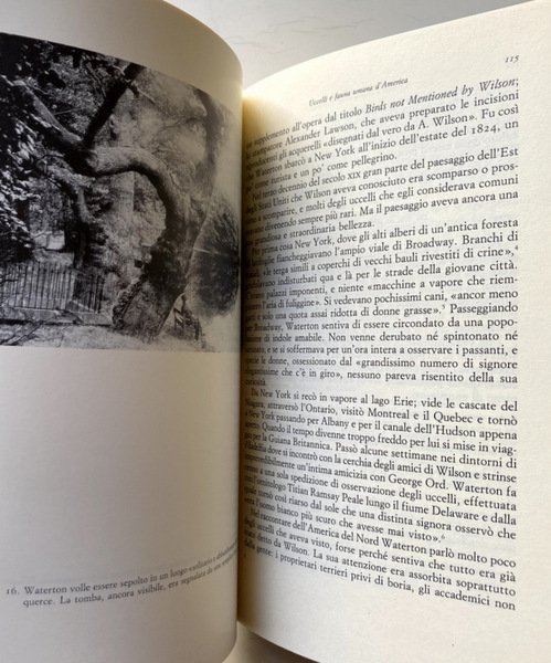 CAVALCARE IL COCCODRILLO. VITA DI UN AMBIENTALISTA. CHARLES WATERTON 1782-1865