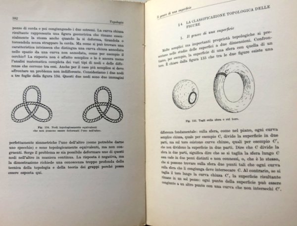 CHE COS'È LA MATEMATICA? INTRODUZIONE ELEMENTARE AI SUOI CONCETTI E …