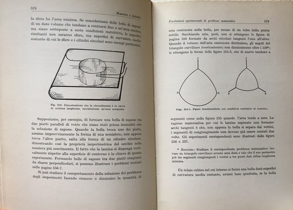 CHE COS'È LA MATEMATICA? INTRODUZIONE ELEMENTARE AI SUOI CONCETTI E …