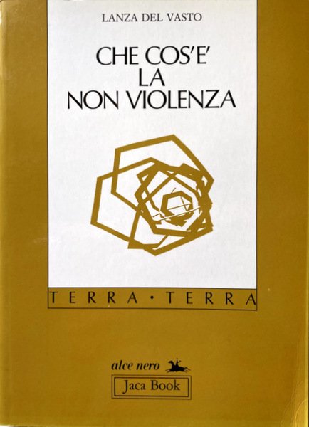 CHE COS'È LA NON VIOLENZA