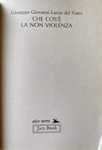CHE COS'È LA NON VIOLENZA