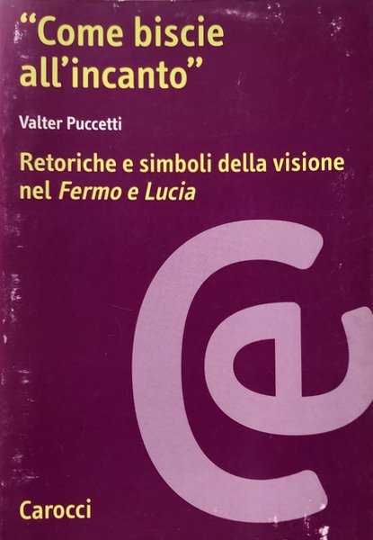 COME BISCIE ALL'INCANTO. RETORICHE E SIMBOLI DELLA VISIONE NEL FERMO …