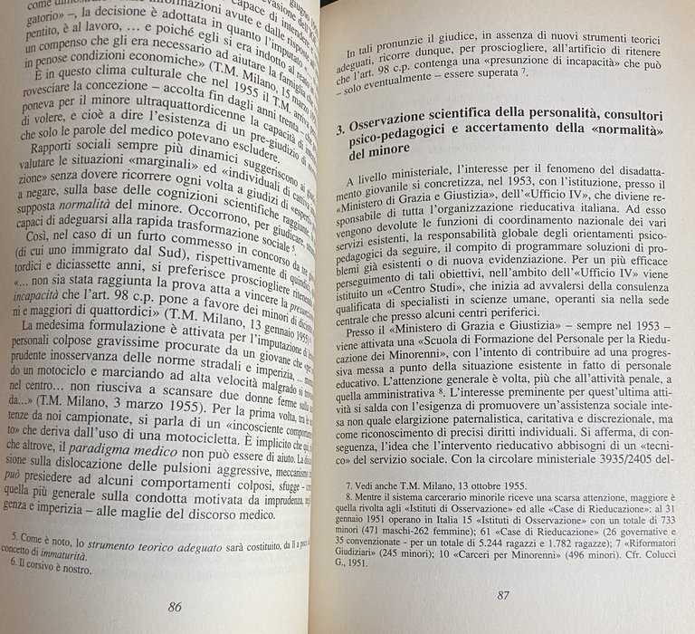 COME PENSA IL TRIBUNALE PER I MINORENNI. UNA RICERCA SUL …