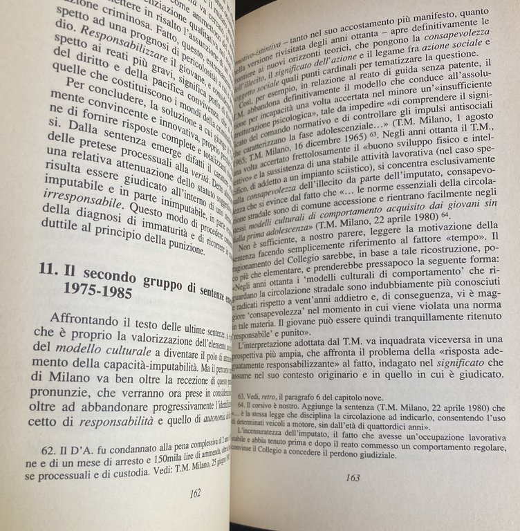 COME PENSA IL TRIBUNALE PER I MINORENNI. UNA RICERCA SUL …