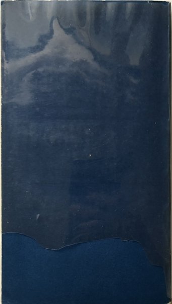 CRONACA DEL REGNO DI CARLO IX
