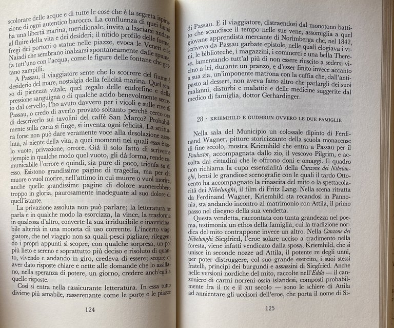 DANUBIO: UN VIAGGIO SENTIMENTALE DALLE SORGENTI DEL GRANDE FIUME FINO …