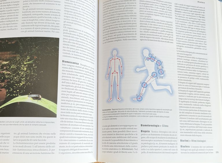 DBS. DIZIONARIO DEL BENESSERE E DELLA SALUTE. CON CD-ROM ALIMENTAZIONE … | Immagine Gallery 12