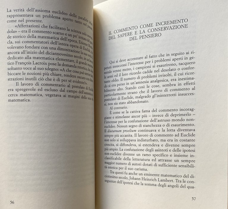 DE INTERPRETATIONE. LA GEOMETRIA NON-EUCLIDEA NEL CONTESTO DELLA ORATIO CONTINUA …