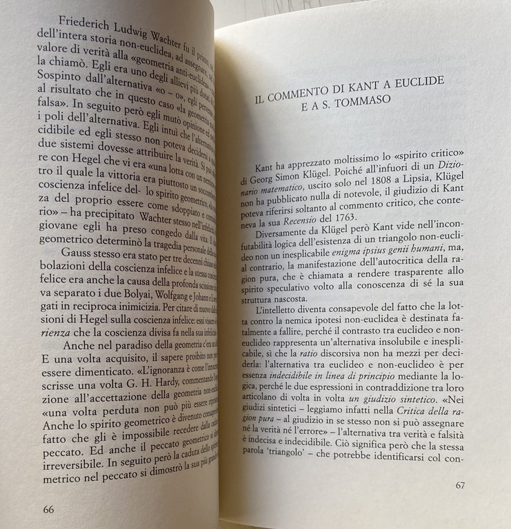 DE INTERPRETATIONE. LA GEOMETRIA NON-EUCLIDEA NEL CONTESTO DELLA ORATIO CONTINUA …