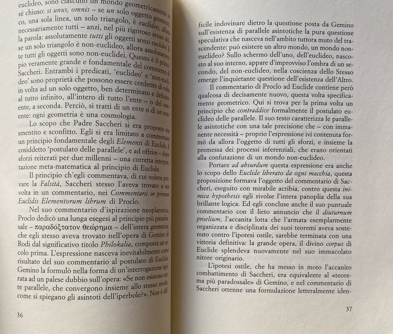 DE INTERPRETATIONE. LA GEOMETRIA NON-EUCLIDEA NEL CONTESTO DELLA ORATIO CONTINUA …