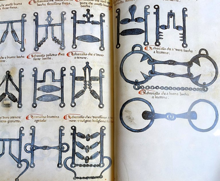 DEI CAVALLI: LA PRATICA DI MAESTRO BONIFACIO DEI MORBI NATURALI …