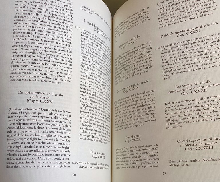 DEI CAVALLI: LA PRATICA DI MAESTRO BONIFACIO DEI MORBI NATURALI …
