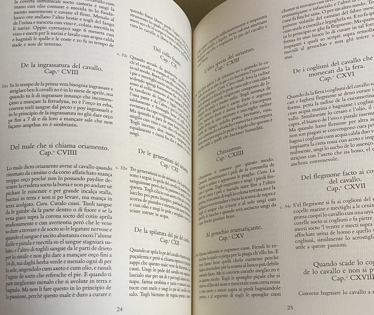 DEI CAVALLI: LA PRATICA DI MAESTRO BONIFACIO DEI MORBI NATURALI …