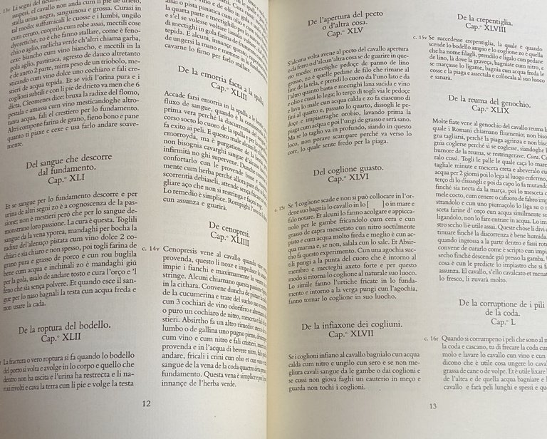 DEI CAVALLI: LA PRATICA DI MAESTRO BONIFACIO DEI MORBI NATURALI …