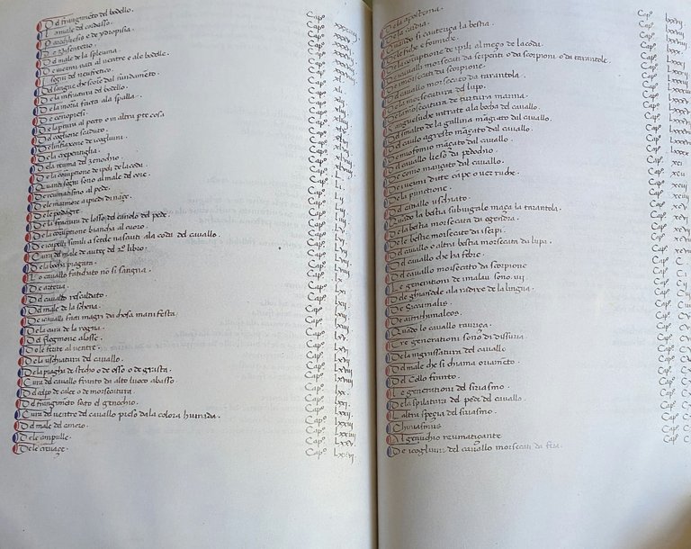 DEI CAVALLI: LA PRATICA DI MAESTRO BONIFACIO DEI MORBI NATURALI …