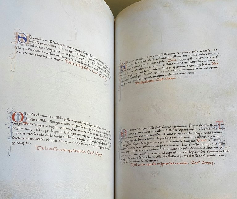 DEI CAVALLI: LA PRATICA DI MAESTRO BONIFACIO DEI MORBI NATURALI …