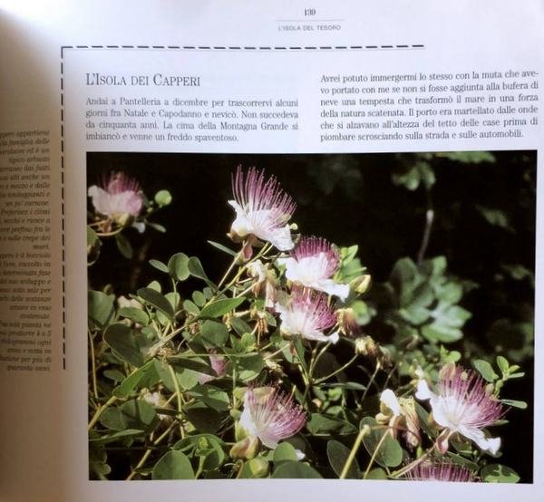 DIARIO DEL MARE. SCOPRIRE, AMARE E VIVERE LA NATURA