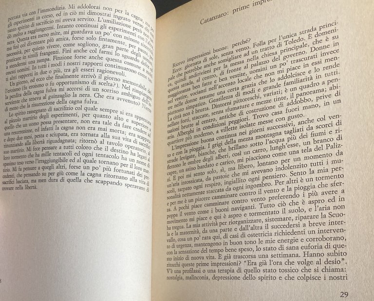DIETRO LA MASCHERA DI GARZA (QUASI DIARIO DI GINECOLOGO)