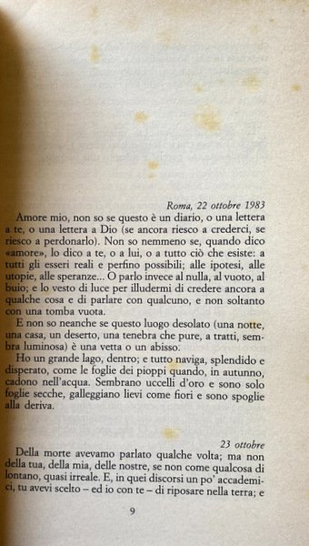 DODICI LUNE: ROMANZO