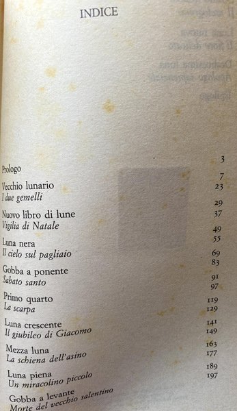 DODICI LUNE: ROMANZO