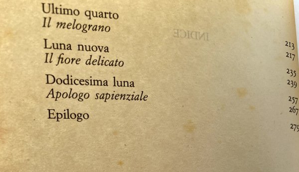DODICI LUNE: ROMANZO