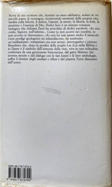 DODICI LUNE: ROMANZO