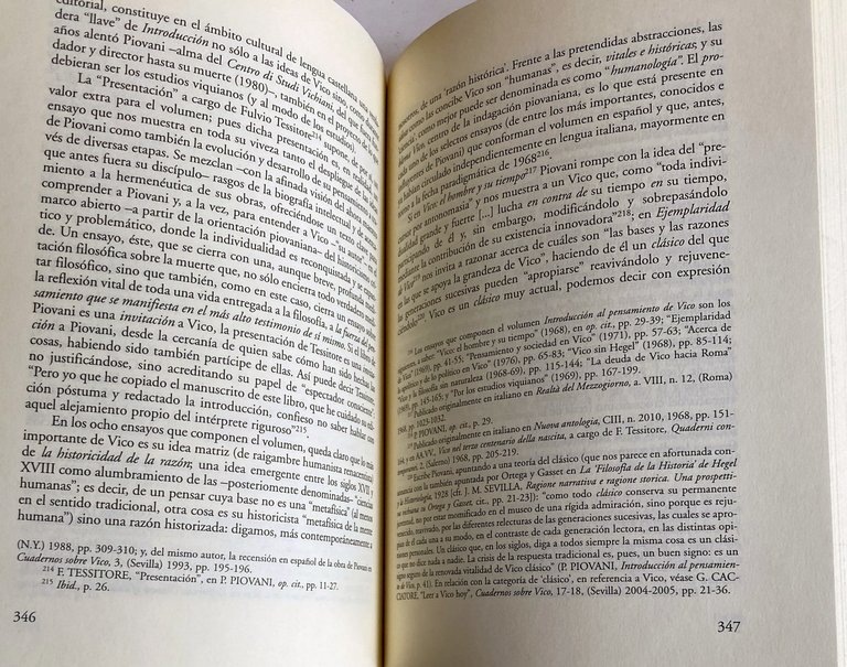 EL ESPEJO DE LA ÉPOCA. CAPITULOS SOBRE GIAMBATTISTA VICO EN …