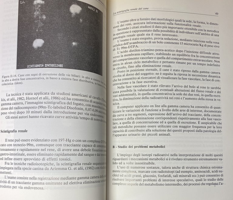 ELEMENTI DI MEDICINA NUCLEARE E RADIOPROTEZIONE VETERINARIA. IL RUOLO DEL …