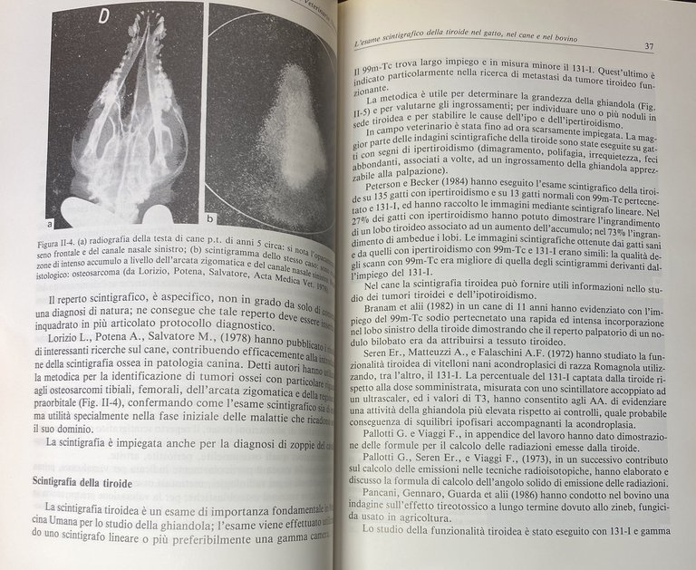 ELEMENTI DI MEDICINA NUCLEARE E RADIOPROTEZIONE VETERINARIA. IL RUOLO DEL …